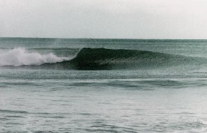 Typical freshwater west wave on a clean swell