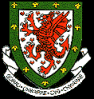 Wales national football team results and match reports